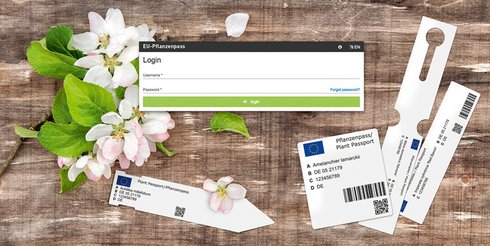 Desktop-Hintergrund mit Blumen und Pflanzenetiketten und geöffnetem LogIn-Fenster zur browserbasierten Software "EU-Pflanzenpass Online" 