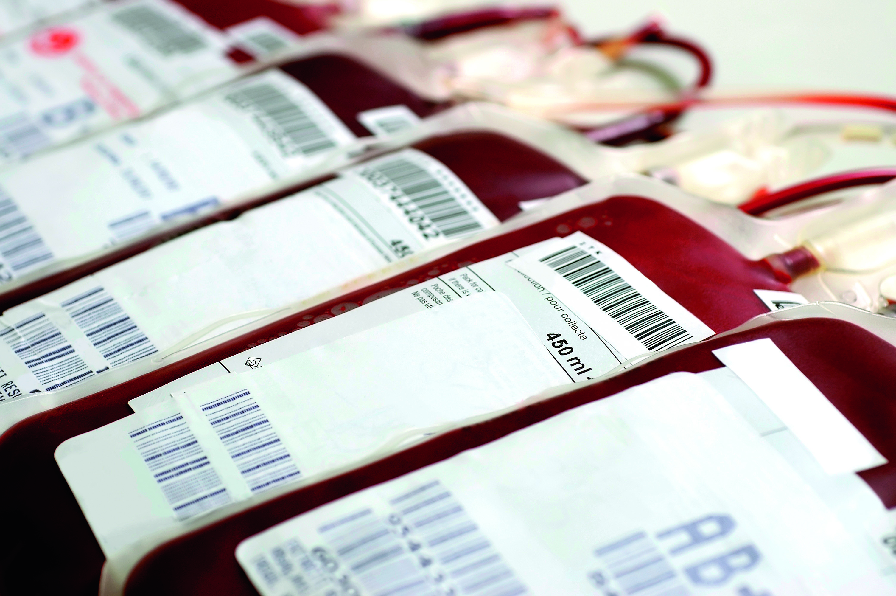 Blutspenden mit Blutbeuteletiketten Darstellung von Blutbeuteln, die auf einem Tisch liegen