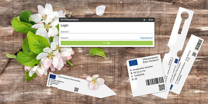 EU-Pflanzenpassetiketten selbst online erstellen Desktop-Hintergrund mit Blumen und Pflanzenetiketten und geöffnetem LogIn-Fenster zur browserbasierten Software "EU-Pflanzenpass Online"